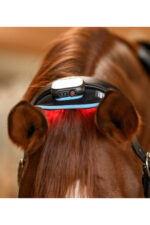 WALDHAUSEN HEALTH + CARE Opaska rozgrzewająco-regenerująca dla konia