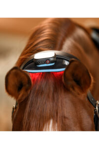 WALDHAUSEN HEALTH + CARE Opaska rozgrzewająco-regenerująca dla konia