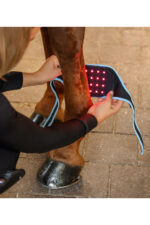 WALDHAUSEN HEALTH + CARE Opaska rozgrzewająco-regenerująca dla konia - obrazek 7