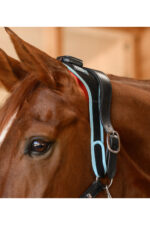 WALDHAUSEN HEALTH + CARE Opaska rozgrzewająco-regenerująca dla konia - obrazek 8