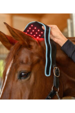 WALDHAUSEN HEALTH + CARE Opaska rozgrzewająco-regenerująca dla konia - obrazek 9