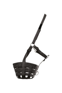 WALDHAUSEN Kaganiec dla konia