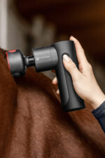 WALDHAUSEN HEALTH + CARE Pro Masażer rozgrzewająco-chłodzący dla konia - obrazek 8