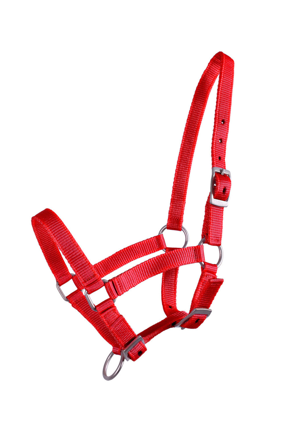 HEAD COLLAR FOAL RED 1 QHP Kantar dla źrebaka - obrazek 1