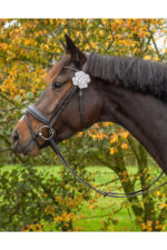 QHP CLOVER Numer startowy - obrazek 3