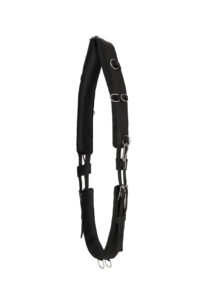 QHP Pas do lonżowania