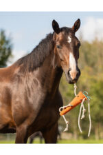 QHP Zabawka dla konia MARCHEWKA - obrazek 3