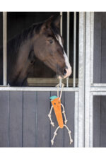 QHP Zabawka dla konia MARCHEWKA - obrazek 4