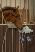 QHP Zabawka dla konia CHMURKA - obrazek 2