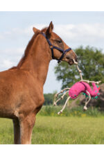 QHP Zabawka dla konia JEDNOROŻEC - obrazek 3