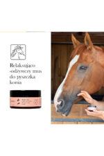 LULLALOVE Relaksująco-odżywczy mus do pyszczka konia 100 ml - obrazek 3