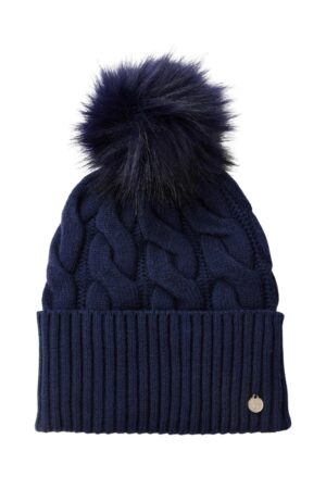 Seaborne navy