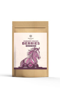 HARMONY HORSE Smakołyki dla koni OWOCE LEŚNE 500 g