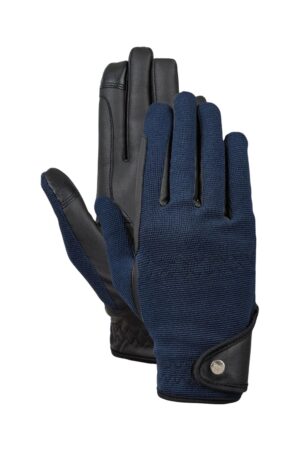 Seaborne navy